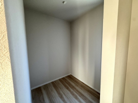 ��錧��J�s��؍��؍莚�O���̐V�z��ˌ��Ẳ摜