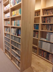 ��錧���Ύs�t����̒��È�ˌ��Ẳ摜