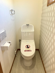 ��錧��J�s���P�u���P�u3���ڂ̒��È�ˌ��Ẳ摜