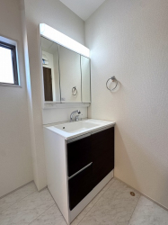 ��錧���s��X���X��̐V�z��ˌ��Ẳ摜