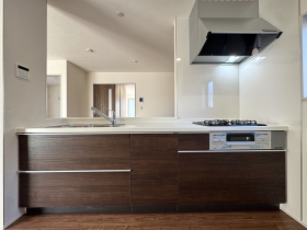 ��錧���s��X���X��̐V�z��ˌ��Ẳ摜