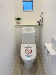 ��錧���s����쎚�y��̐V�z��ˌ��Ẵg�C��