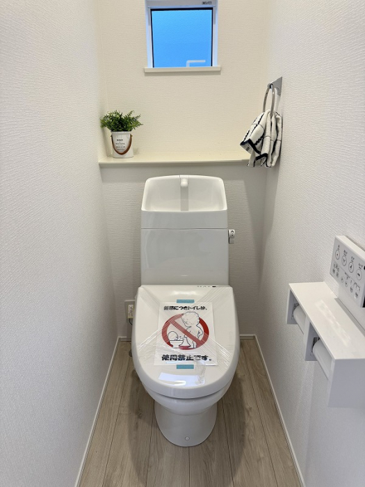 ��錧���s����쎚�y��̐V�z��ˌ��Ẵg�C��