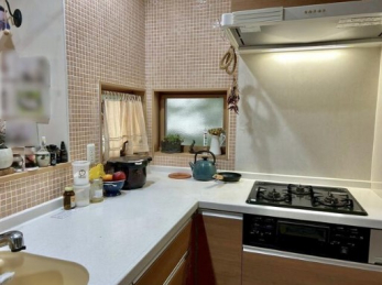 ��錧���s�{�a�c�{�a�c�̒��È�ˌ��Ẳ摜