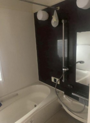 ��錧���s�{�a�c�{�a�c�̒��È�ˌ��Ẳ摜