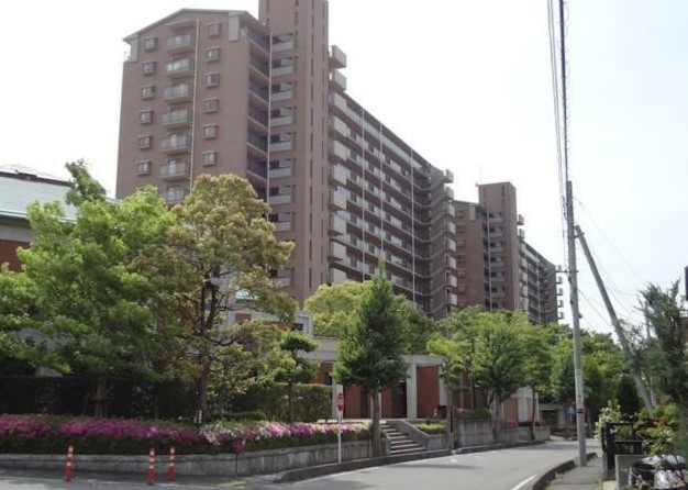 ��錧���s��X���X��̒��Ã}���V�����̉摜