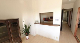 ��錧���s��X���X��̒��Ã}���V�����̉摜