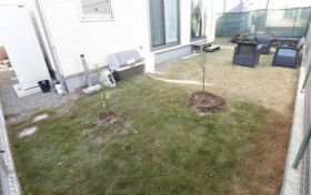 ��錧���Ύs���͌��艺�͌��荂�R�̒��È�ˌ��Ă̒�