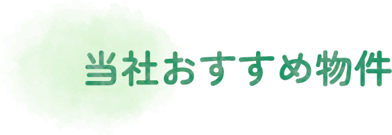 ���Ђ������ߕ���